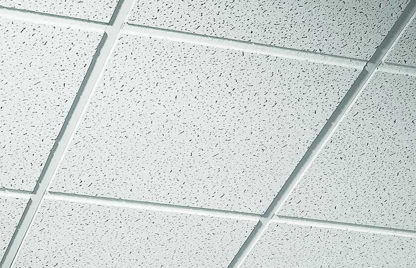 USG Boral Donn Ceiling Tiles from Renhurst